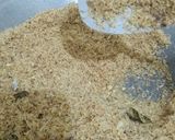 Foto langkah ke 5 dari resep Serundeng kelapa.