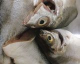 Hình bước làm 2 của món Canh Chua Cá Ông Căn