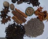 A picture of step 1 of Shahi Garam Masala.