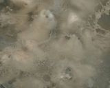 Foto langkah ke 2 dari resep Opor ayam sederhana tapi mantap.