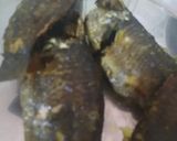 A picture of step 2 of Tel Koi (climbing perch fish).