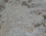 Foto del paso 4 de la receta: Produccion de pizzas caseras