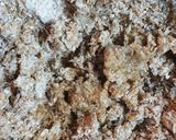 Foto del paso 2 de la receta: Pan integral