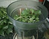 Hình bước làm 2 của món Nước Rau Má