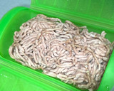 Foto del paso 2 de la receta: Espagueti Boloñesa en microondas con Lékué