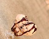 A picture of step 9 of Chocolate ice cream.
