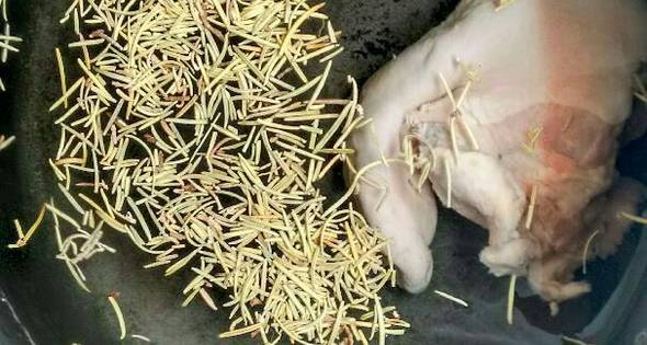 Cómo hacer cordero al horno fácil y con resultados sorprendentes |  Gastronomía \u0026 Cía