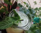 Une image de l'étape 10 de Citronnade menthe fraîche citron 🍋.