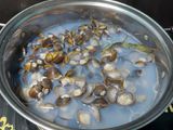 34. Kerang saos tomat