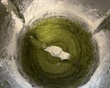 Foto del passaggio 1 della ricetta Pasta all’uovo verde senza glutine🍝