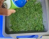 Foto del paso 3 de la receta: Eneldo congelado para usar como fresco