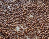 Une image de l'étape 4 de ☆Salade de Lentilles Croustillantes, Légumes Rôtis☆.