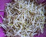 Foto langkah ke 1 dari resep "Oseng kecambah ikan asin".
