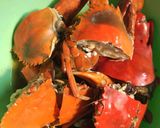 Foto langkah ke 1 dari resep Kepiting Lada Hitam pedas.