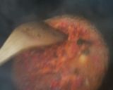Foto langkah ke 2 dari resep Sambal Roa khas Manado ala Mbak Carolina.
