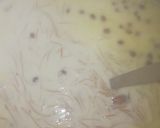 A picture of step 6 of Vermicelli kheer.