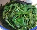Foto langkah ke 1 dari resep 661. Tumis kangkung.