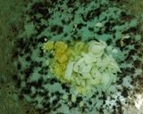 Foto langkah ke 7 dari resep Pizza Tempe.