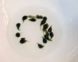 Foto langkah ke 3 dari resep Cendol Kecebong.