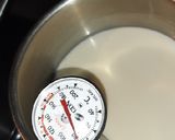 Foto del paso 1 de la receta: Yogurt artesanal