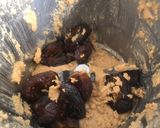 Foto del paso 3 de la receta: Crema de cacao y avellanas saludable (Nocilla)