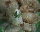 Foto langkah ke 3 dari resep Martabak sayuran Sehat.