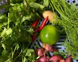Hình bước làm 1 của món Cá lăng trộn hành tím