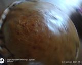 Foto del paso 5 de la receta: Tarta casera integral