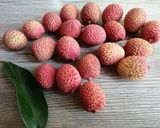 Une image de l'étape 9 de Jus🍹 litchi 🌴.