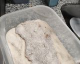 Foto del paso 9 de la receta: Milanesa de ternera