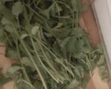 صورة لخطوة 1 من وصفة تخزين معدنوس (بقدونس) "1"