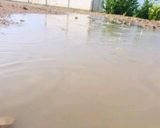 صورة لخطوة 2 من وصفة قهوة 🤨
