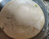 મટર પરાઠા (Matar Paratha Recipe In Gujarati) રેસીપી સ્ટેપ5ફોટો