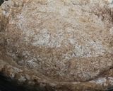 Foto del paso 3 de la receta: Tarta de brócoli y zanahoria con masa casera