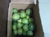 Rujak Mangga Serut