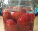 A picture of step 2 of Vickys Plum Gin.