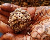 A picture of step 7 of Peanut Butter Laddoo.