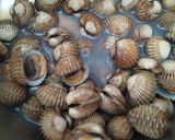 Foto langkah ke 1 dari resep Sate Kerang.