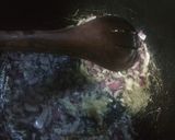 A picture of step 2 of Fried njahi (black beans).