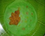 Foto langkah ke 3 dari resep Dadar Gulung Pandan.