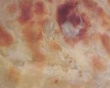 A picture of step 11 of Soft layered Chapatis #myfavouriteeasterdishcontest.