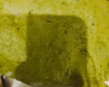 A picture of step 1 of Palak ka parantha.