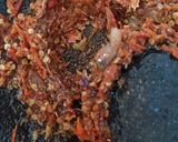 Foto langkah ke 8 dari resep 29. Sambal Ulek Matang.
