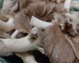 Foto langkah ke 1 dari resep Tumis jamur cabe gendot.