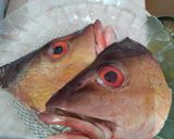Foto langkah ke 1 dari resep Gulai kepala ikan kakap.
