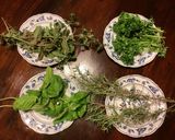 A picture of step 1 of California Farm Herb Oil.