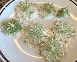 Foto del passaggio 3 della ricetta 198 • Fiori fritti di carota selvatica (dolci o salati)
