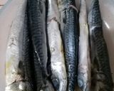 Foto langkah ke 1 dari resep Ikan Salem Bakar.