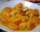 Persian chicken and dried apricot stew recipe step 10 photo