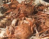 Foto del paso 11 de la receta: Marisquito
